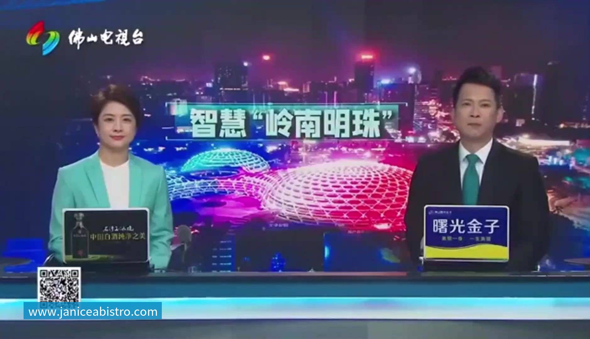 岭南明珠案例(封面).mp4 岭南明珠案例(封面).mp4