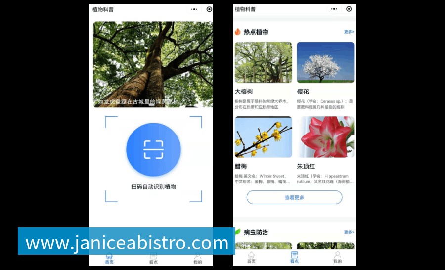 植物科普扫码系统